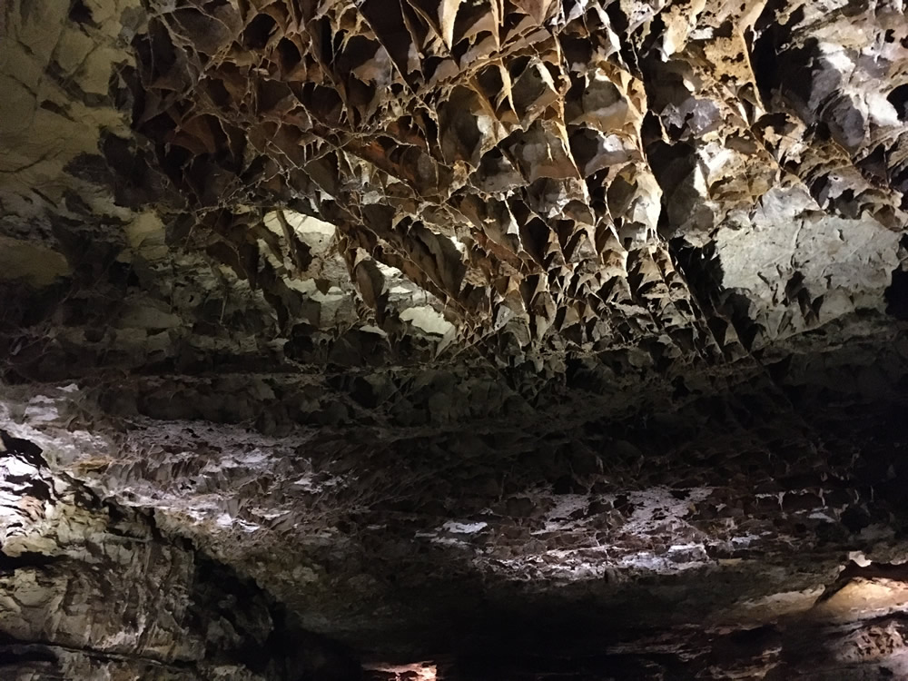 Wind Cave National Park